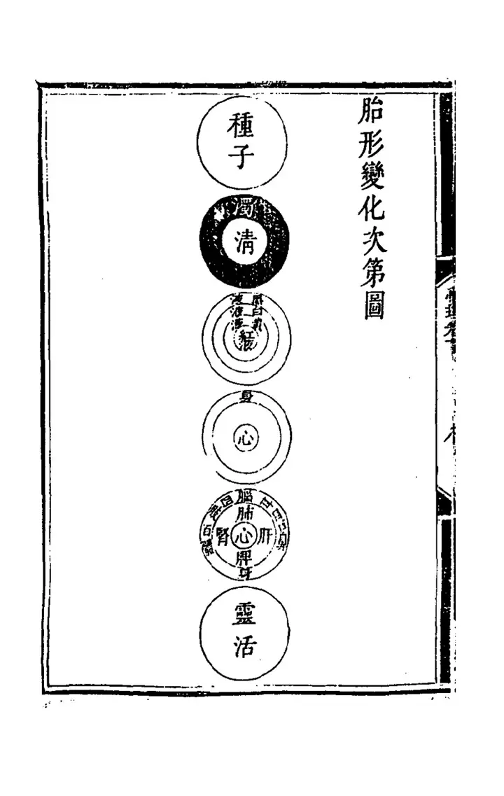 胎形變化次第圖: The embryo's transformations, in order (page 135 of the scan)